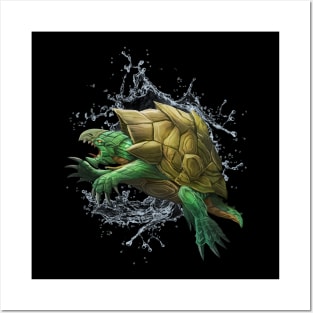 Beware the Dragon Turtle Posters and Art